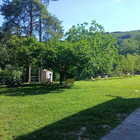 La Boccia's